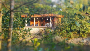 Hotels in Drzewica